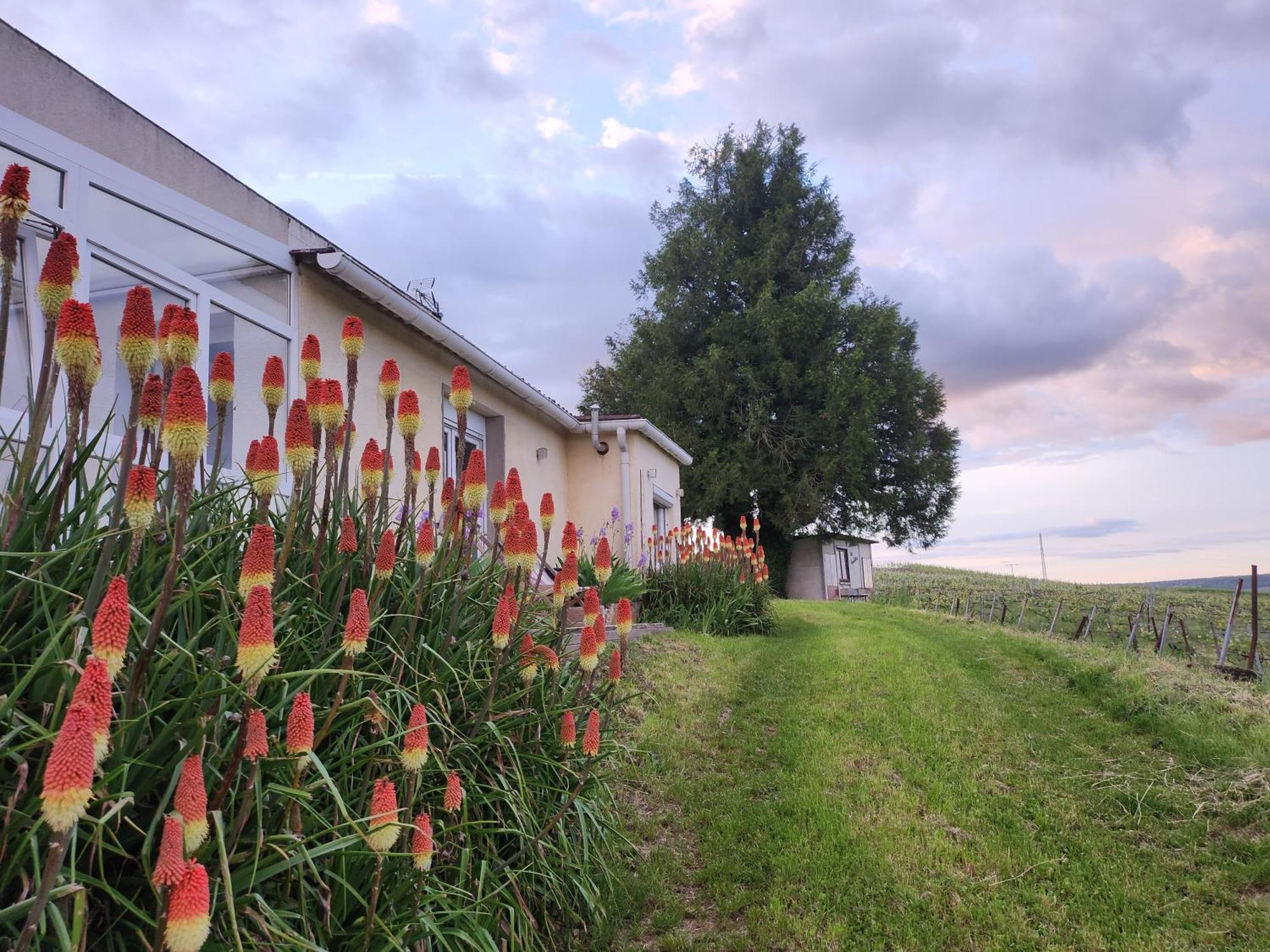 Apartamento L’échappée Bulles Épernay Exterior foto